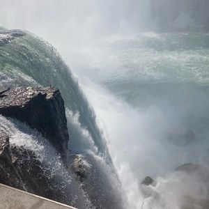 Meet your Posher, Rasheena